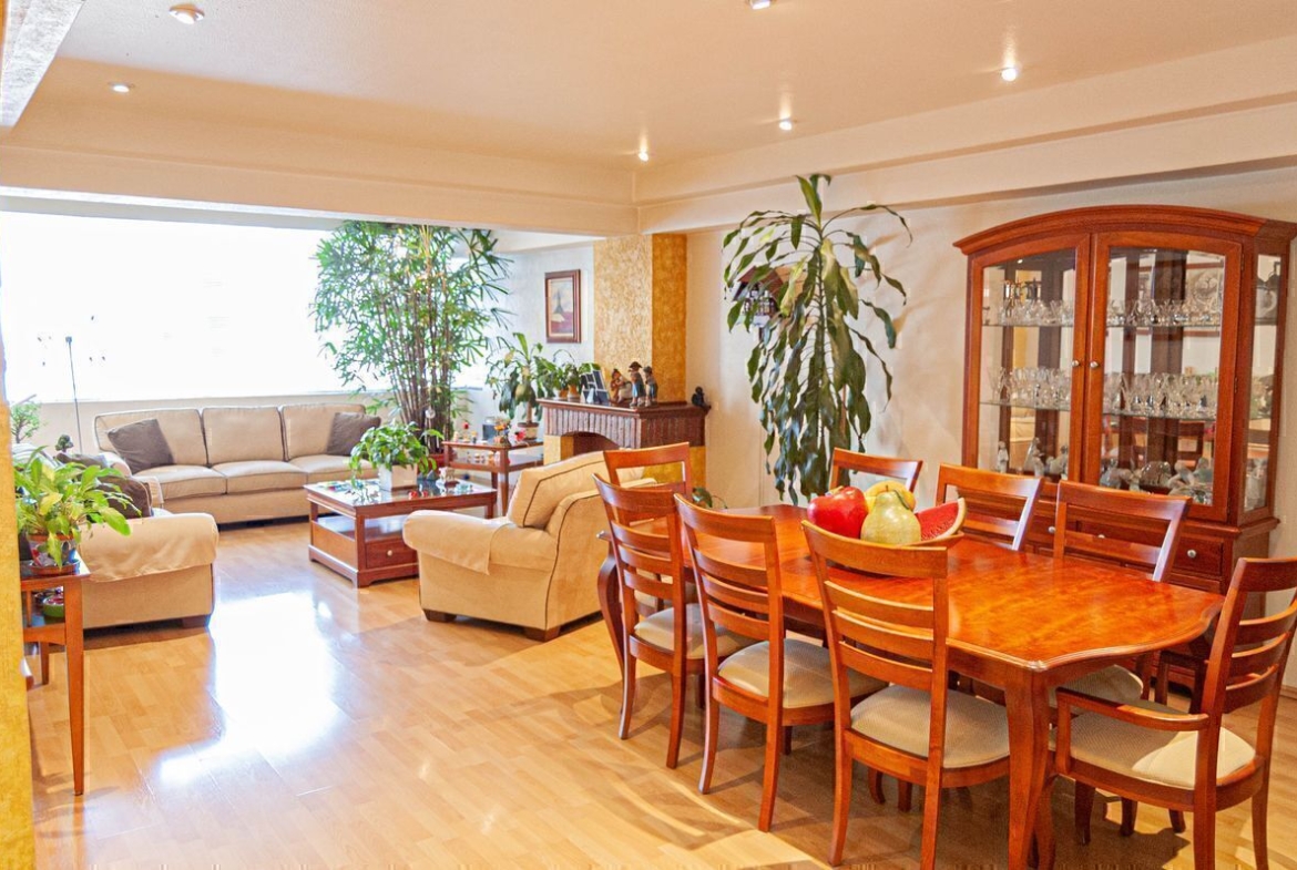 Estancia y comedor