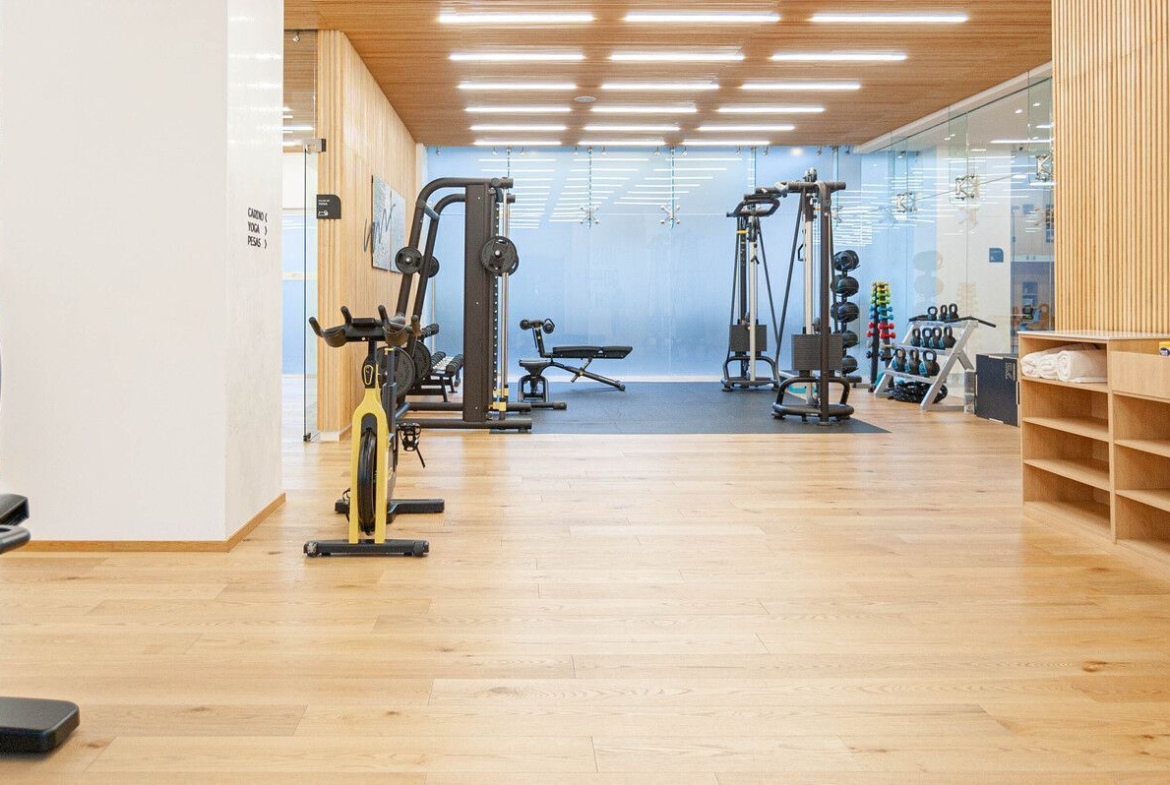 Gimnasio
