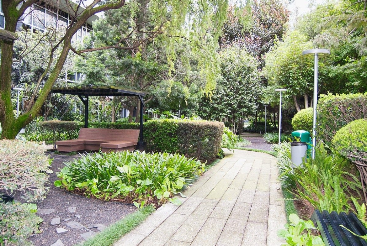 Departamento en Renta | High Park Santa Fe con Vista Panorámica a Parque La Mexicana